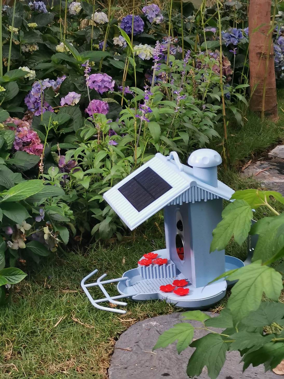 HB2023-1-Smart bird feeder