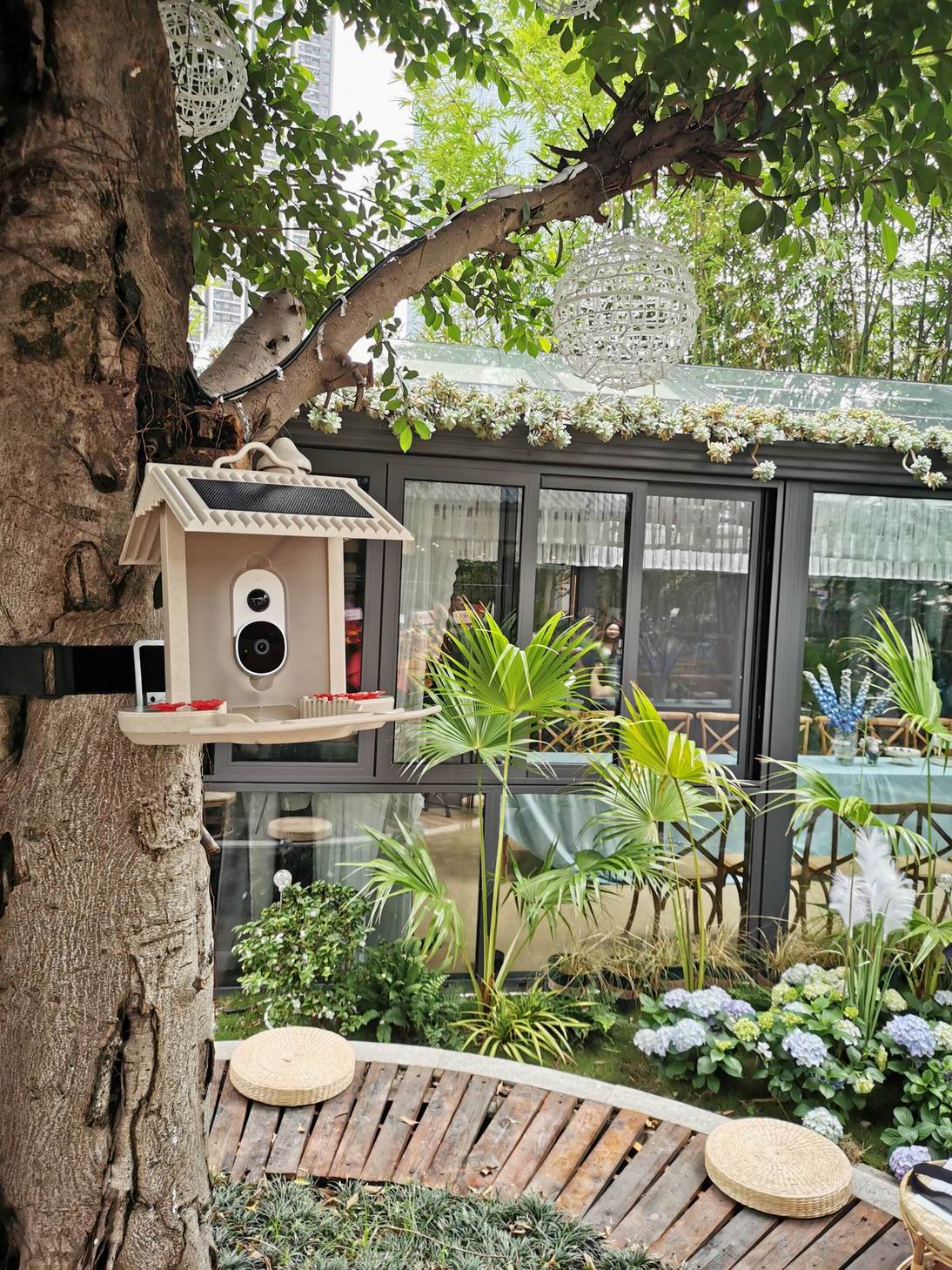 HB2023-1-Smart bird feeder