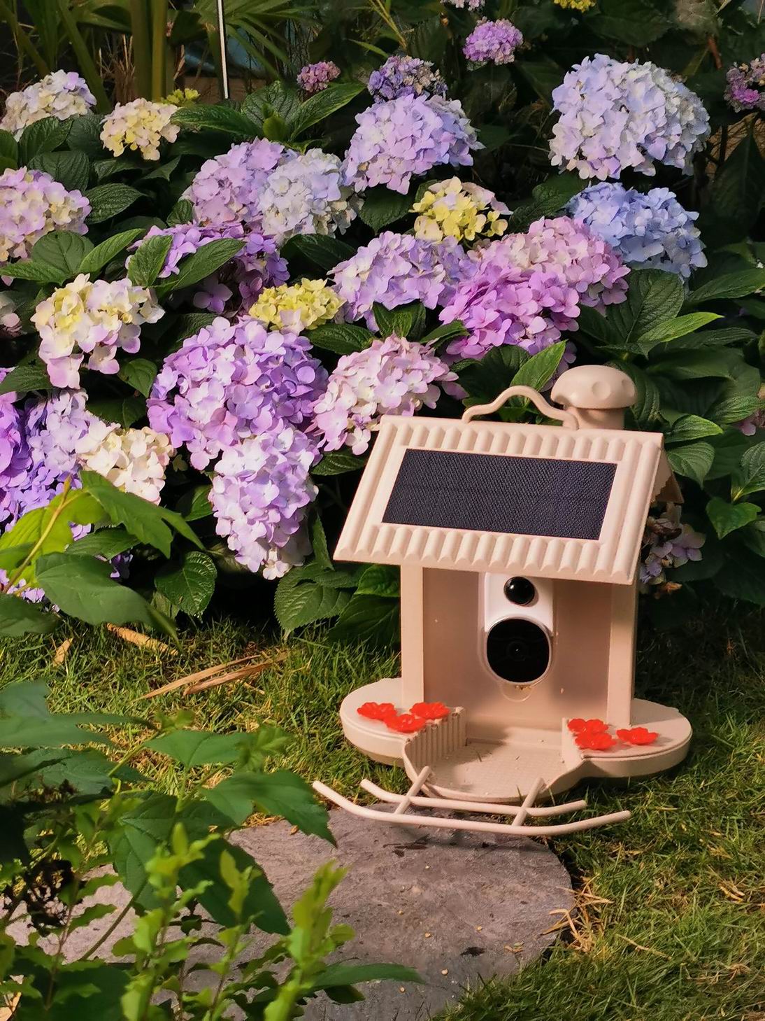 HB2023-1-Smart bird feeder