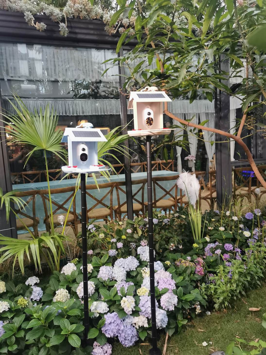 HB2023-1-Smart bird feeder
