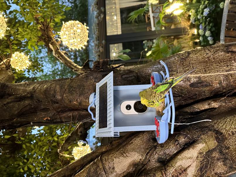 HB2023-1-Smart bird feeder
