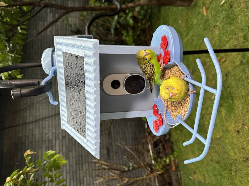 HB2023-1-Smart bird feeder