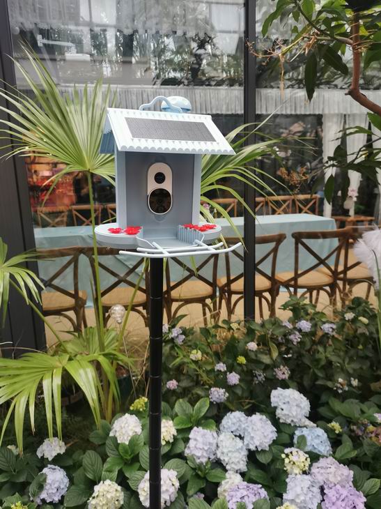 HB2023-1-Smart bird feeder